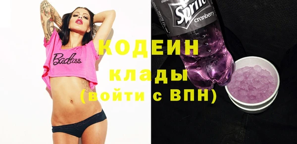 индика Дмитровск