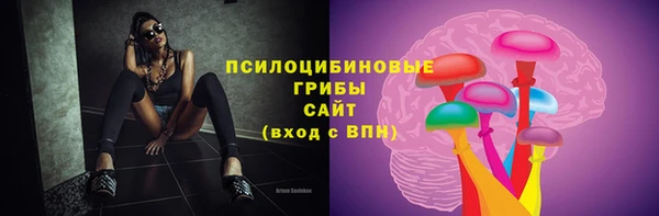 не бодяженный Дмитриев