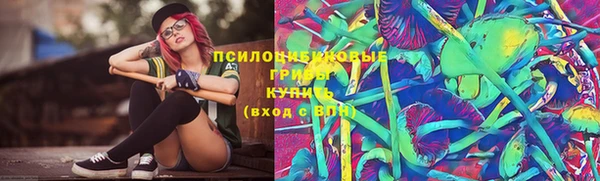 не бодяженный Дмитриев