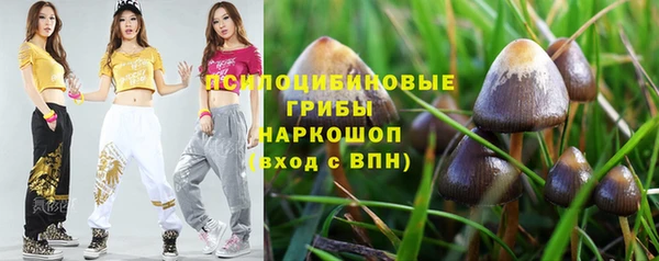 эйфоретик Гусиноозёрск